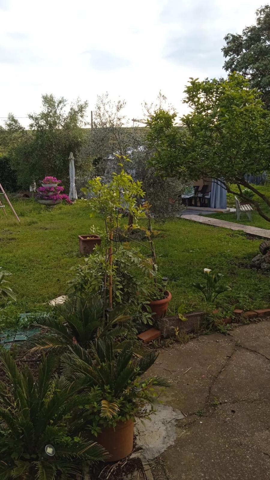 דירות רומא Casina Maria מראה חיצוני תמונה